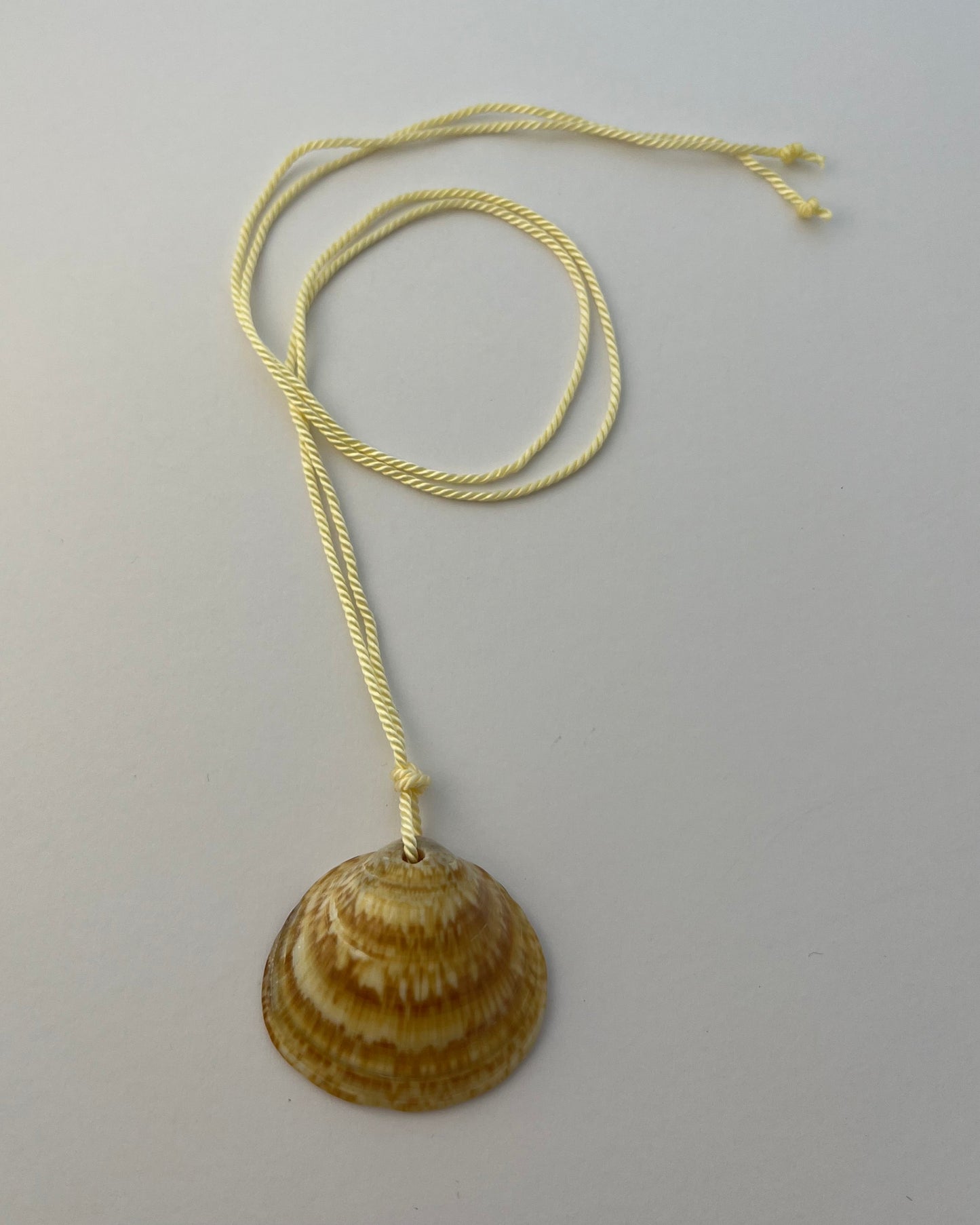 #16 the sun shell pendant on cream string