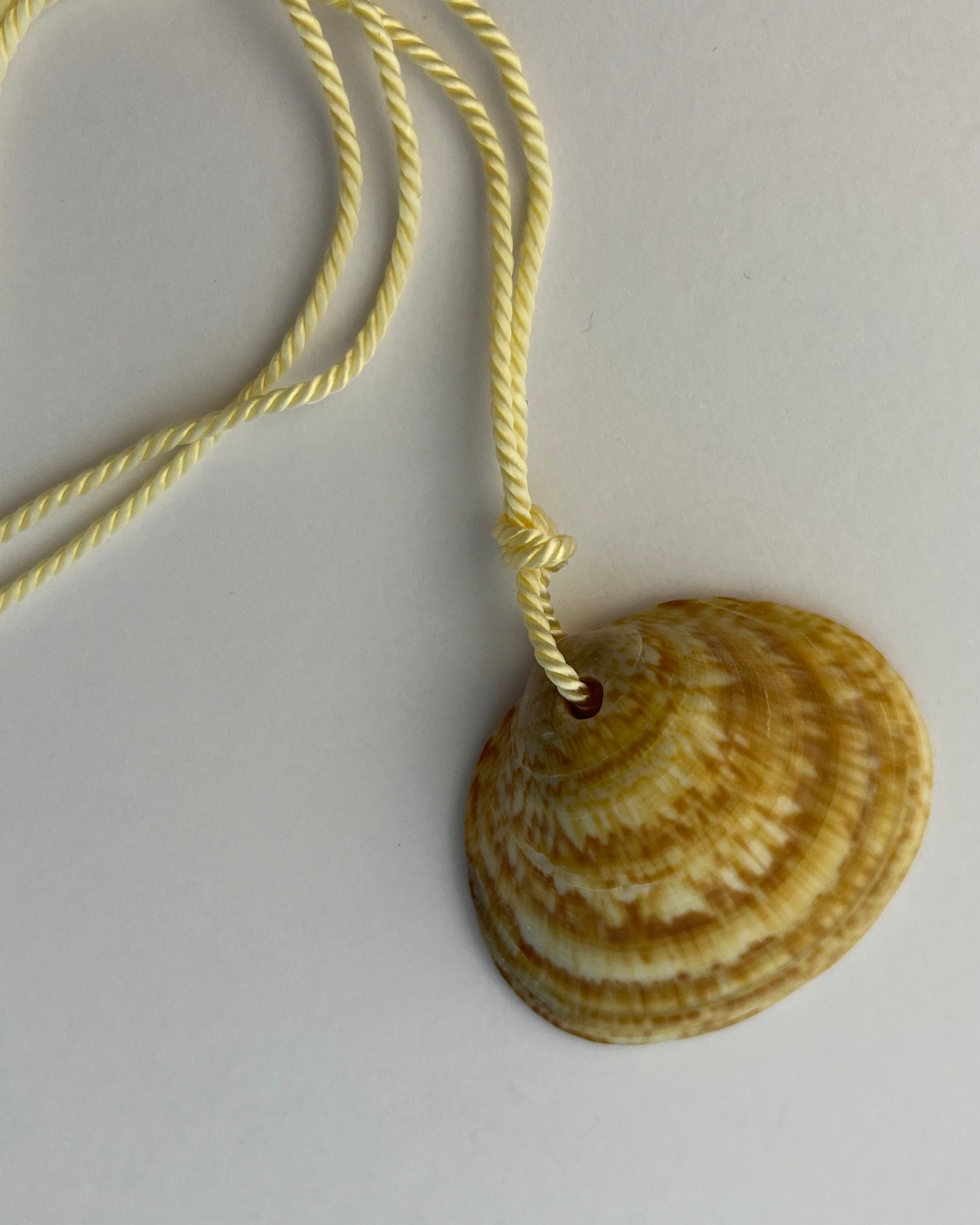 16 the sun shell pendant on cream string – Thing by Susi Best