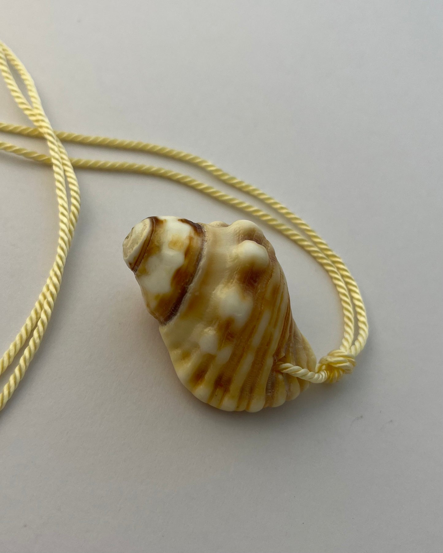 #17 the echo shell pendant on cream string
